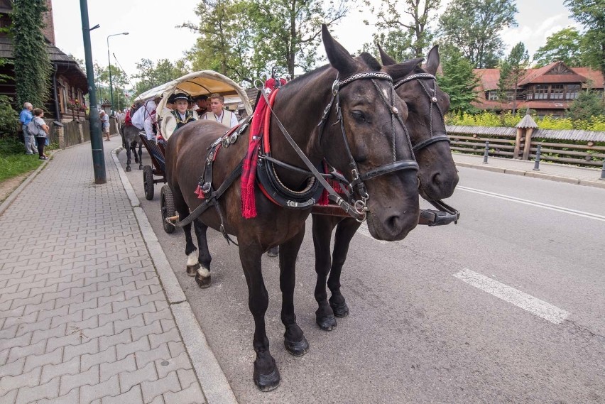 Zakopane. Mieszkańcy ulicy Kościeliskiej świętowali swój dzień [ZDJĘCIA]