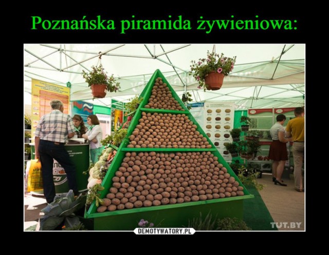 Czy umiemy się z siebie śmiać?

--->>>-- przejdź do następnego zdjęcia--->>>>