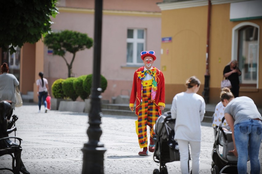 Urodzinowy klaun dla burmistrza Kołacińskiego