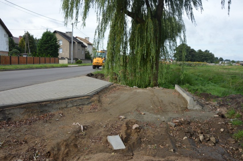 Burmistrz Lęborka uznał niewymienienie drzew do usunięcia za...
