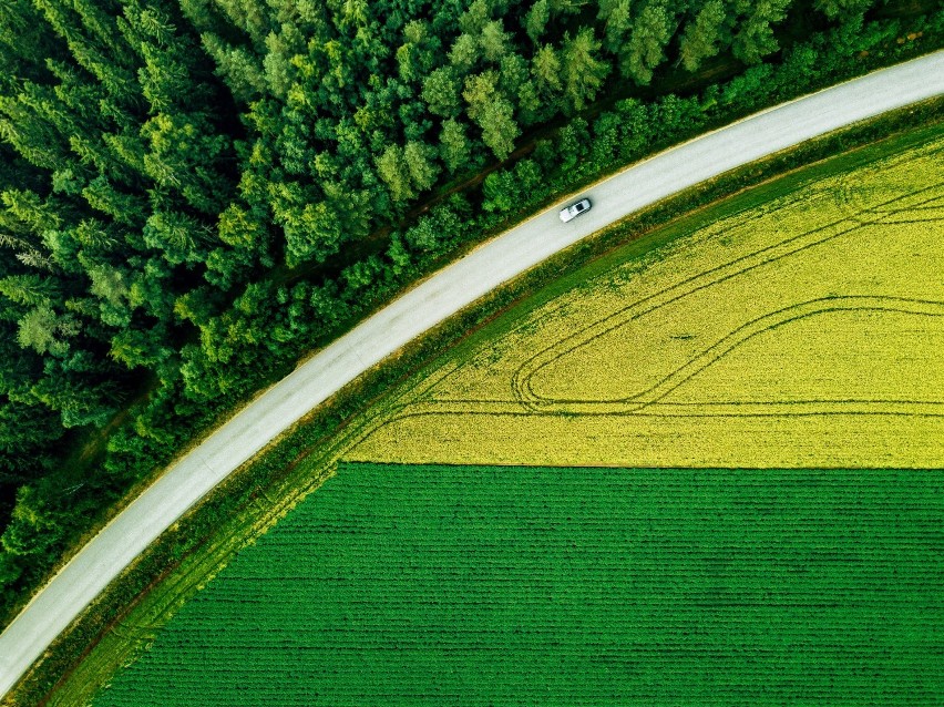 Najpiękniejsze trasy samochodowe w Polsce. Inspiracje dla fanów podróży na 4 kółkach