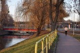 Pierwsze oznaki wiosny w Pruszczu. Spacer po parkach miejskich i centrum! | ZDJĘCIA