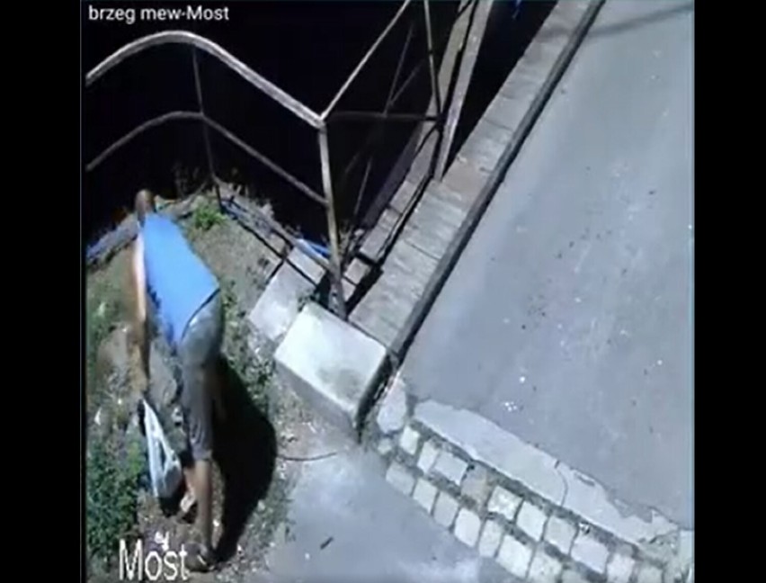 Na nagraniu widać, jak mężczyzna znęca się nad kotem.