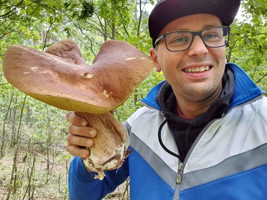 Grzybowe szaleństwo w lasach w powiecie lublinieckim. To Wasze zbiory!