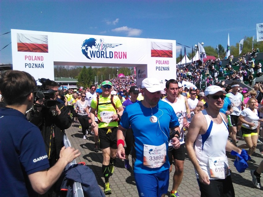 Wings for Life World Run Poznań: W niedzielę pobiegną w...