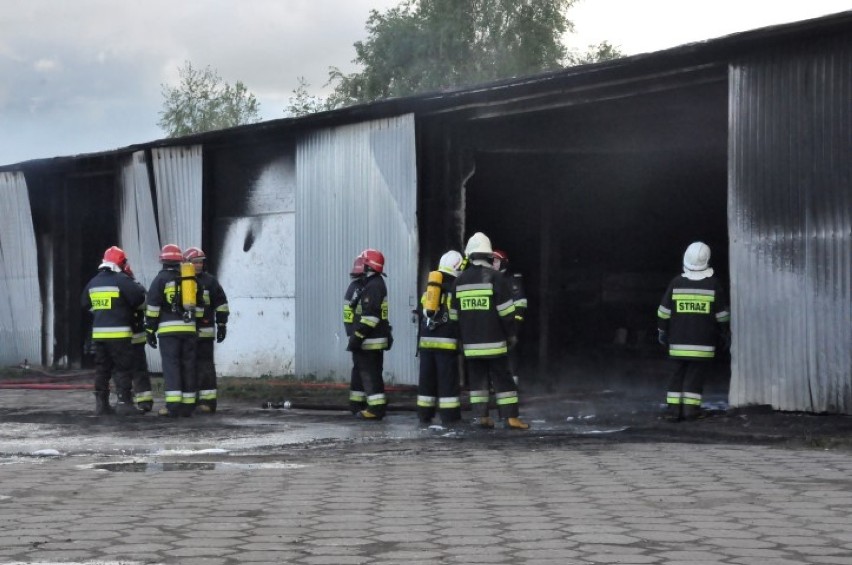 Gmina Nowy Dwór Gdański. Szesnaście jednostek straży...