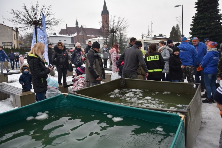 Myszków: 27. finał WOŚP. Myszkowskie morsy kąpały się przed...