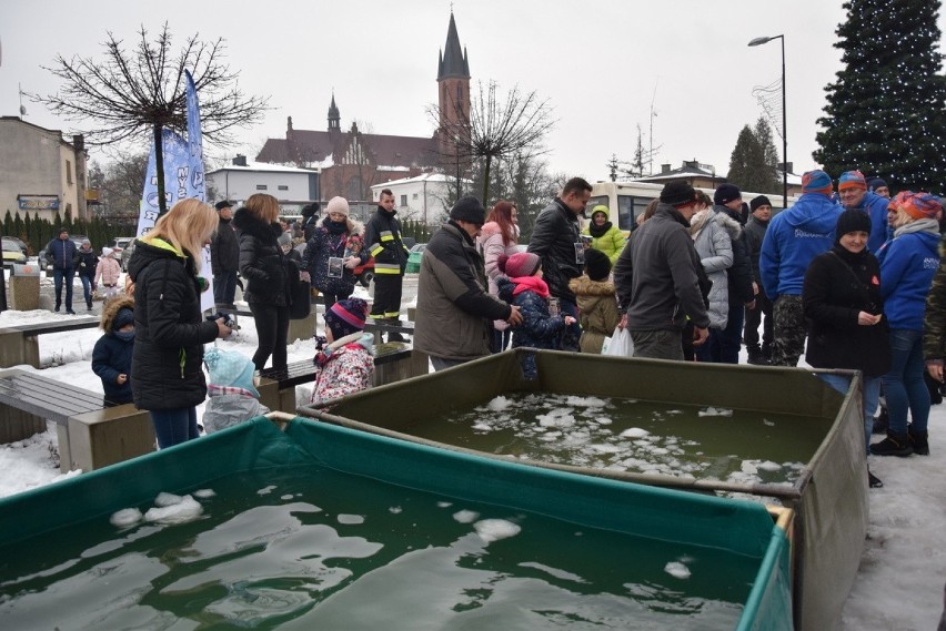 Myszków: 27. finał WOŚP. Myszkowskie morsy kąpały się przed...