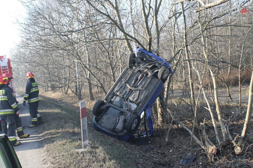 Mikołów: Groźny wypadek na DK-81. Kierowca uderzył w drzewo i dachował [ZDJĘCIA]