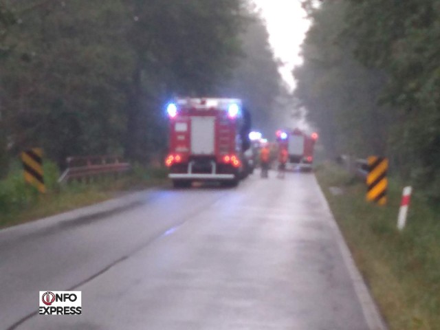 Tragiczny wypadek na drodze Wierzbie - Koszęcin. Dwie kobiety zginęły w czołowym zderzeniu tira z busem