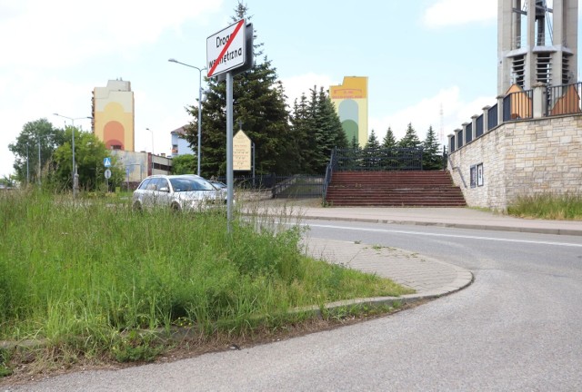Takie trawy rosną u zbiegu ulic Skórzana i Główna.