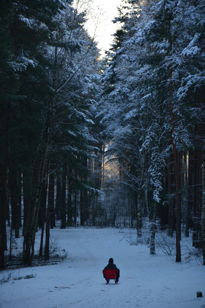 Wzgórza Piastowskie niczym śnieżna bajka...[zdjęcia]