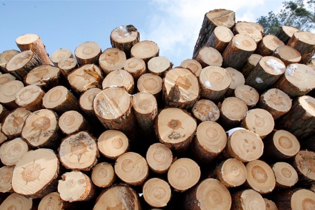 Zakup drewna nie jest dziś tani, m.in. z powodu ogromnego popytu na ten opał.