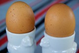 Uwaga! Niektóre polskie jajka i produkty zawierają bakterie salmonelli