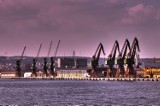 Gdyński port rybim okiem [zdjęcia]