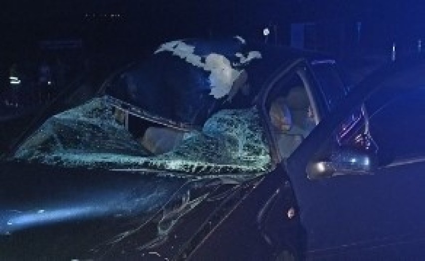 Tragiczny wypadek w Wojniczu. Nie żyje 63-latek potrącony na drodze