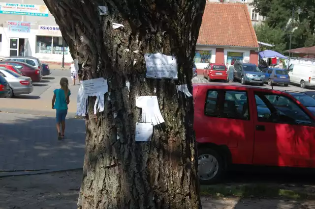 Tak wyglądają upstrzone ogłoszeniami drzewa w pobliżu sztumskiego marketu Netto i targowiska