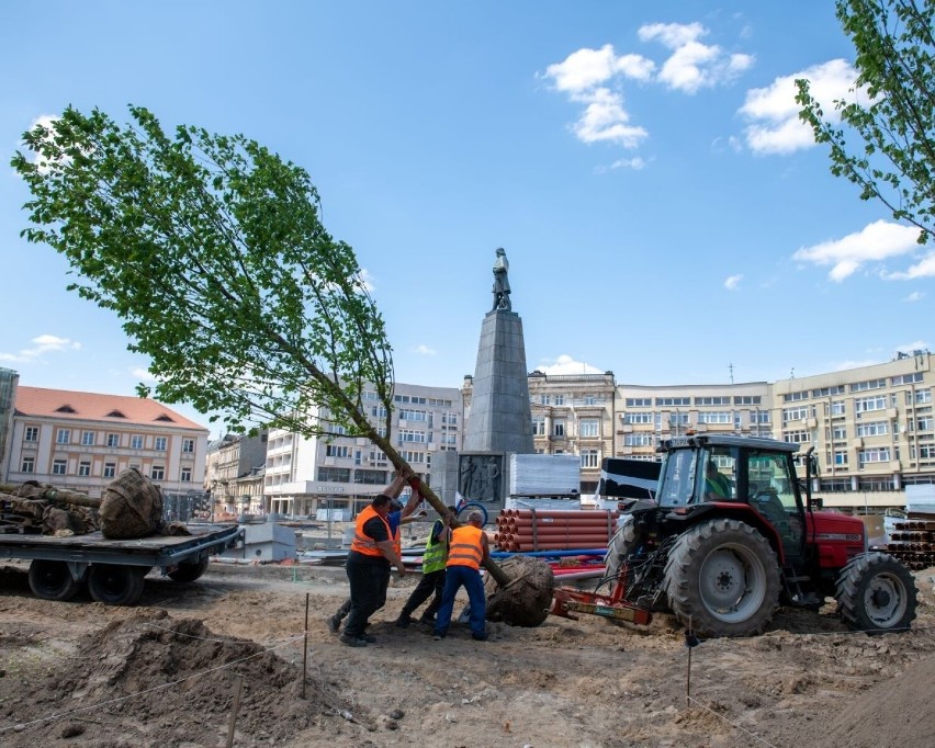 Przebudowa Placu Wolności w Łodzi. Będzie tu...zielono. Pojawiły się pierwsze drzewa. Zobaczcie zdjęcia
