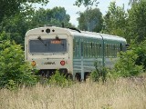 Kwidzyn: Arriva wspólnie z Żuławską Koleją Dojazdową chce uruchomić pociąg na plażę