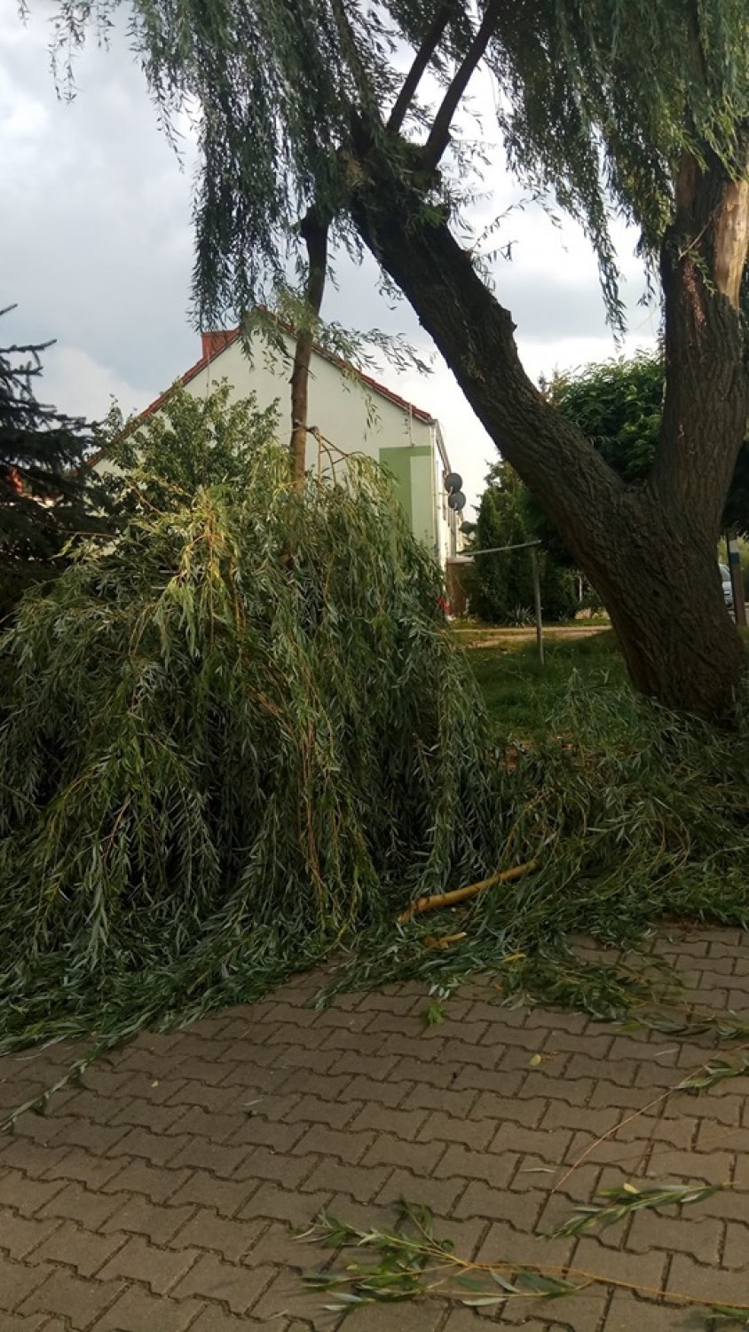 Krajobraz po burzy! Przyszła nieśmiało i tak samo odeszła