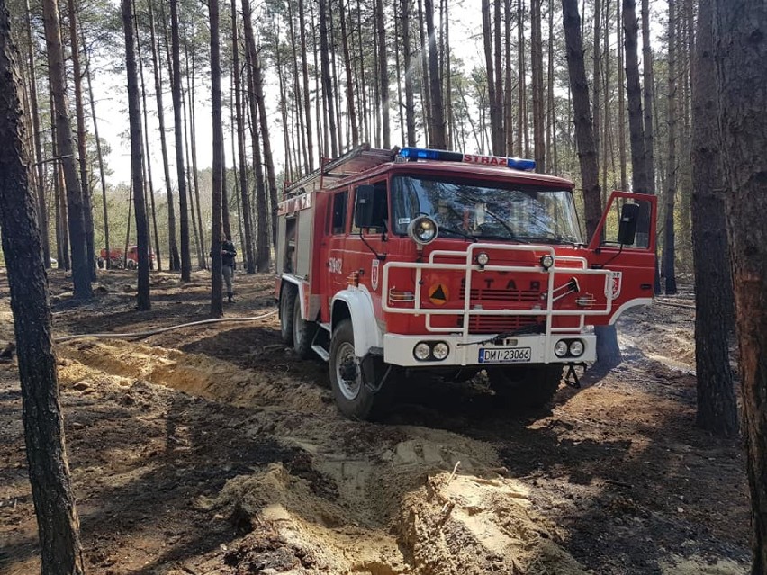 OSP: Strażacy z Cieszkowa dogaszali duży pożar pod Zdunami [ZDJĘCIA]