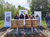 Nowi mieszkańcy już po oficjalnym otwarciu! Dwie pasieki pszczół już w Mysłowicach, zobacz jak się prezentują