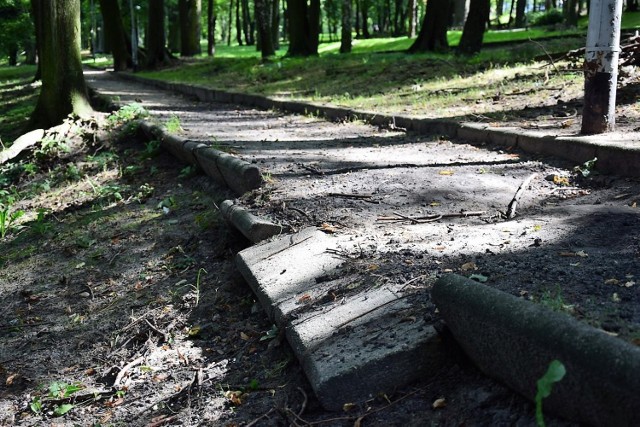 Park Tysiąclecia leży w samym centrum Zielonej Góry, tuż przy urzędzie miasta. Wydawałoby się, że to miejsce reprezentacyjne, z klimatem, gdzie warto spędzać czas. Tymczasem Park Tysiąclecia trochę przypomina ścisły rezerwat przyrody, w którym pod żadnym pozorem nie wolno niczego ruszać. Z tą różnicą, że tutaj nie rusza się rzeczy wytworzonych przez człowieka: chodników, ścieżek, ławek etc. Jak zostały zbudowane przed dziesiątkami lat, tak stoją do dziś nietknięte, zapomniane... Zresztą zobaczcie sami, jak wygląda to miejsce w samym sercu Zielonej Góry. Po prostu koszmar, a nie park. Czy w końcu mieszkańcy kiedyś doczekają się jego rewitalizacji?

Zobacz też: Tak miał wyglądać Park Tysiąclecia w Zielonej Górze w 2016 r.


Zobacz też: Winobranie 2017. Okolice Zielonogórskiej Palmiarni straszą [ZDJĘCIA]

