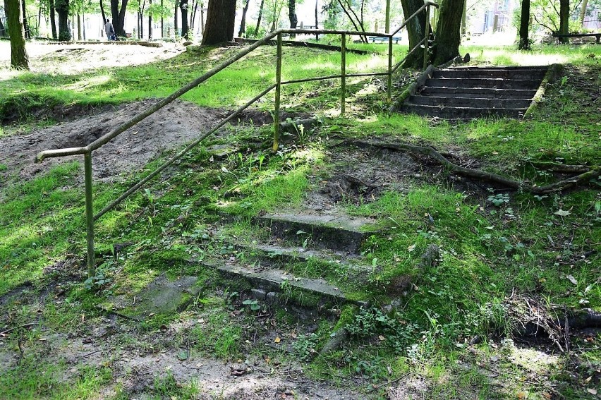 Park Tysiąclecia leży w samym centrum Zielonej Góry, tuż...