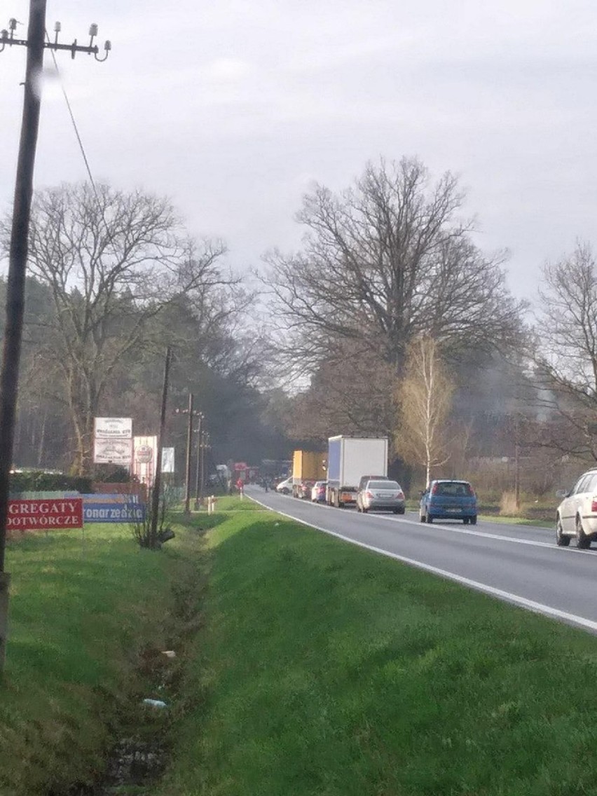 Poważny wypadek w Przyłęku! Samochód osobowy wypadł z drogi i roztrzaskał się na drzewach. Lądował śmigłowiec LPR [FOTO]