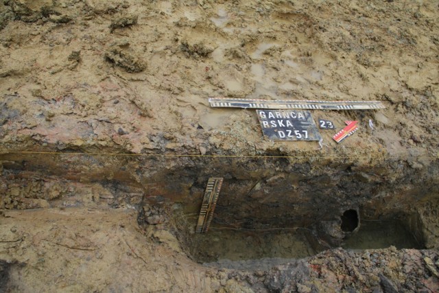 Krzyżacki szeląg i naczynia sprzed wieków. Archeolodzy odkryli skarby sprzed wieków przy ulicy Garncarskiej w Kaliszu