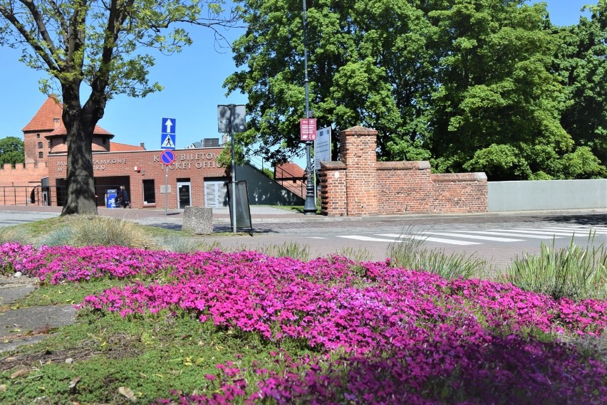 Malbork. Wyposażenie zewnętrznego muzeum przy murach Starego Miasta zostało zniszczone. To miała być jedna z malborskich atrakcji