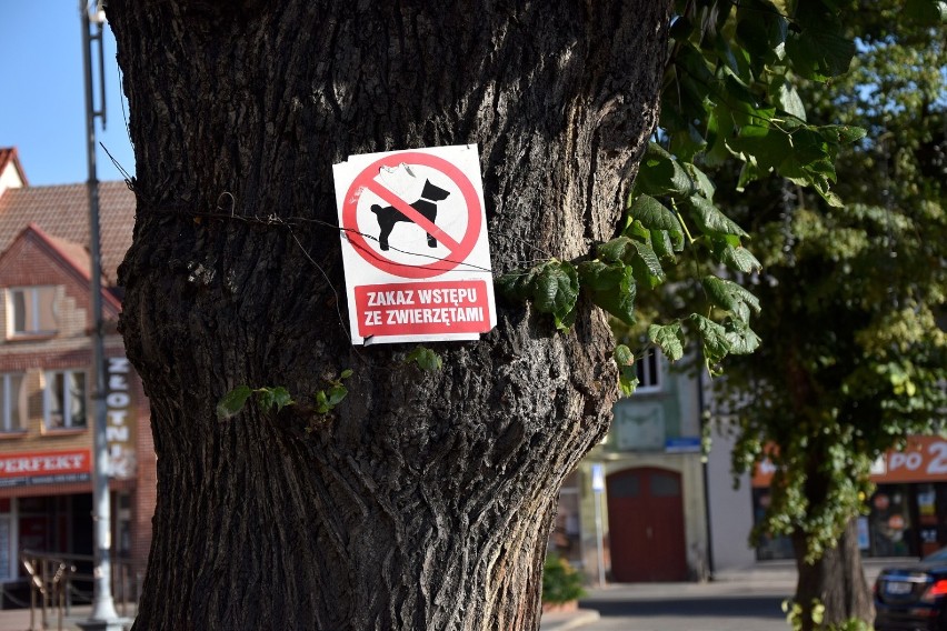 Zakaz wstępu z psem na rynek w Chodzieży? Tabliczka zaskoczyła mieszkańców, ale czy jest prawdziwa?