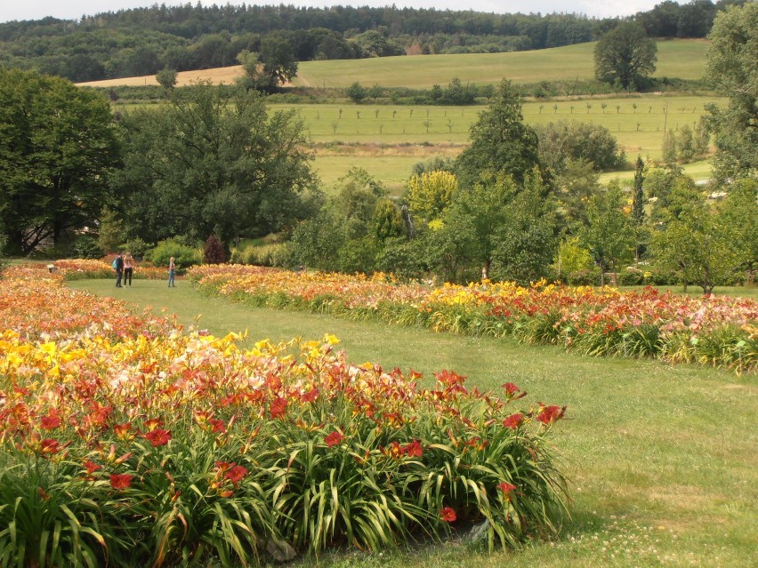 Arboretum w Wojsławicach - Filia Ogrodu Botanicznego...