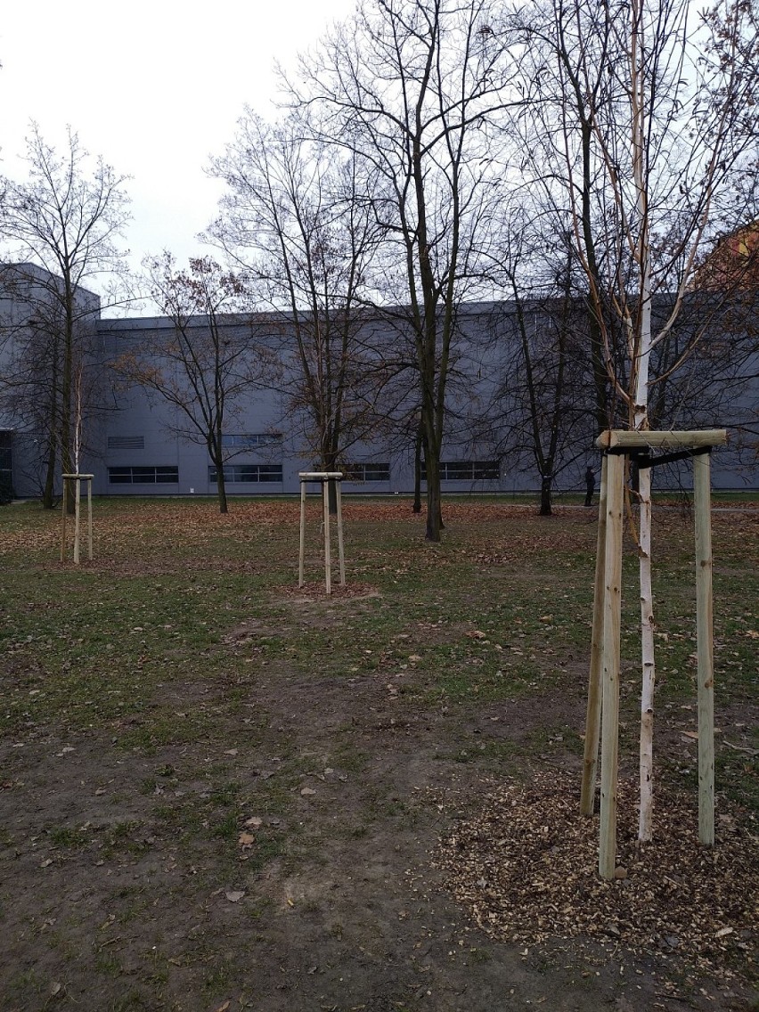 Park przy galerii Amber w Kaliszu został odnowiony