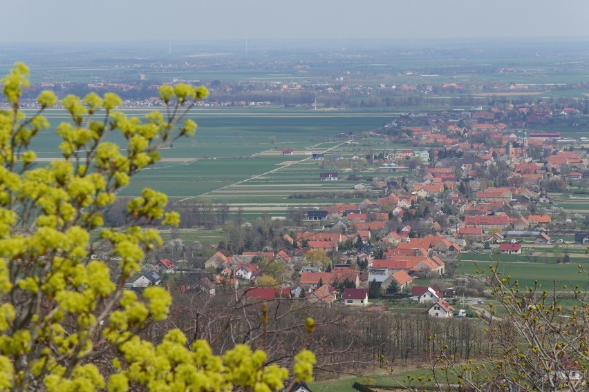 Wieża widokowa na wzgórzu Radogost to świetny pomysł na...