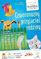 Wrocław: W Koronie zaadoptujesz czworonoga