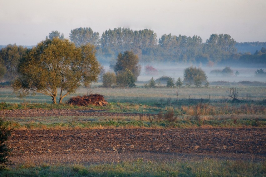 Polkowice: Finał powiatowego konkursu