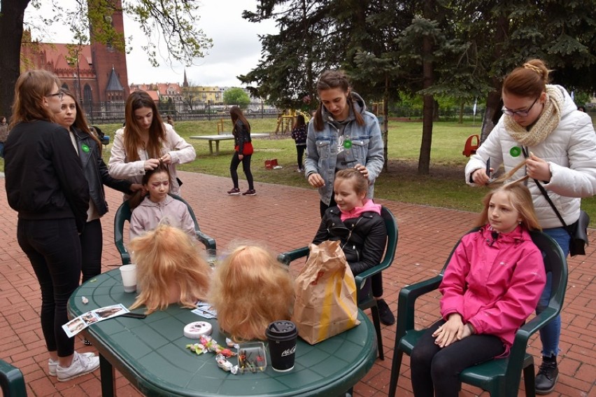 Majówka z Poradnią po raz czwarty w Legnicy [ZDJĘCIA]