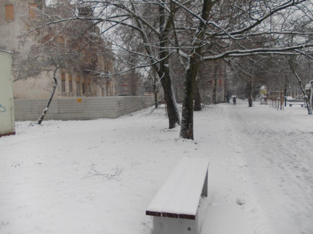 Zima wróciła do Płocka