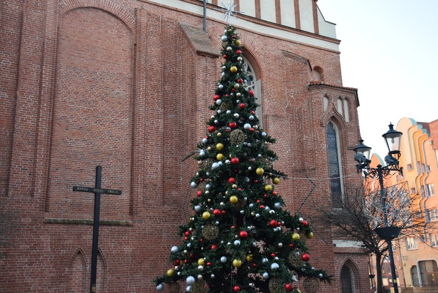 Świąteczne dekoracje w Elblągu. Choinki i świetlne iluminacje na ulicach miasta