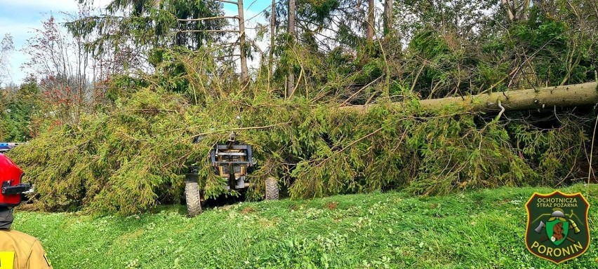 Halny na Podhalu. Drzewo zawaliło się na przejeżdżający ciągnik. Mogło dojść do tragedii  