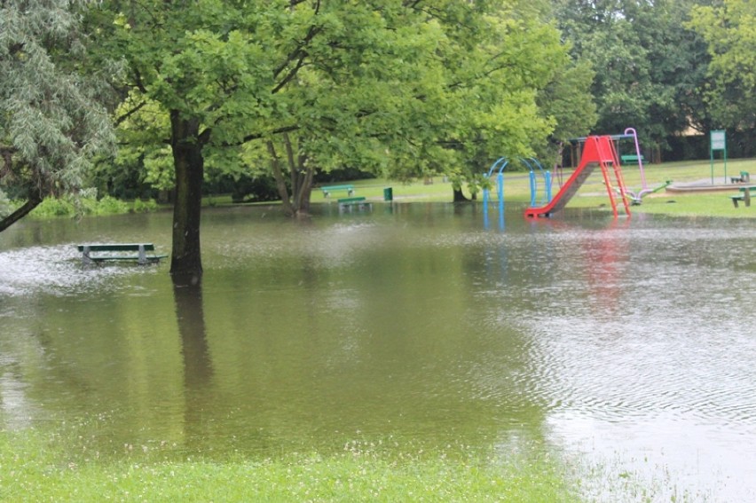 Plac zabaw w parku Wodziczki zatopiony!