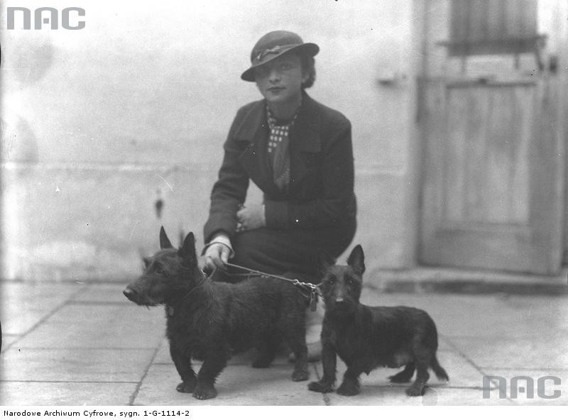 Wystawa psów w Krakowie 1934