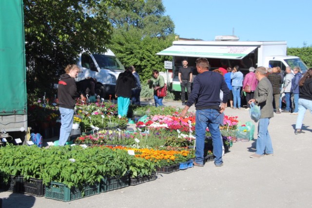 Targowisko w Radziejowie (18.05.2022)