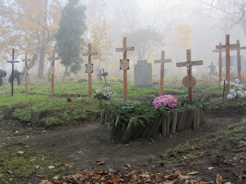 Kibice Lecha Poznań sprzątali cmentarz przy ul. Samotnej [ZDJĘCIA]