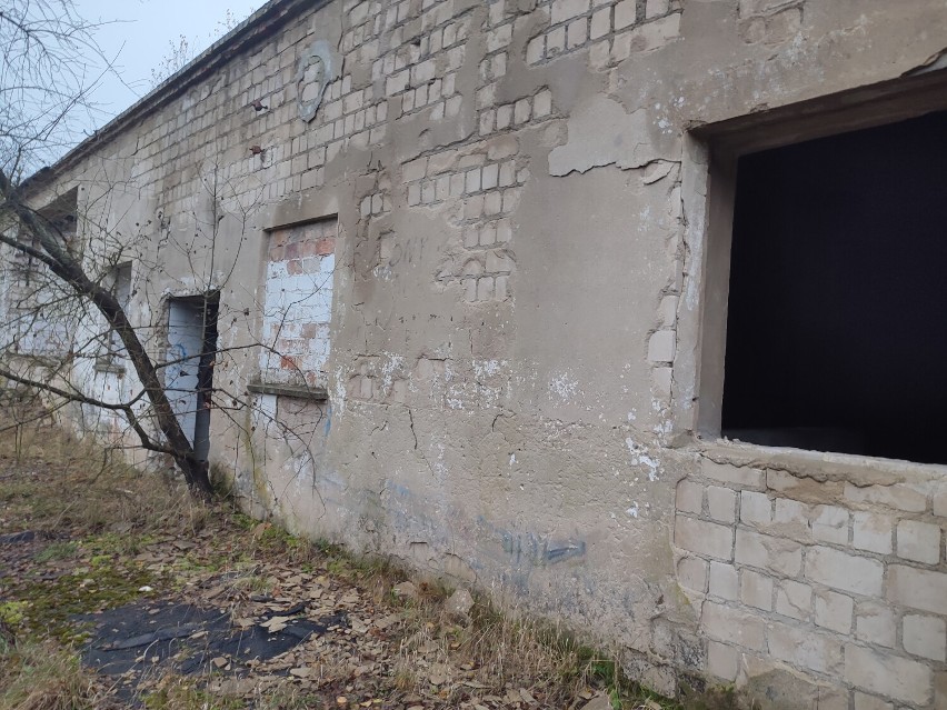 Stara rzeźnia w Wągrowcu niszczeje. Jak aktualnie wygląda to miejsce? 