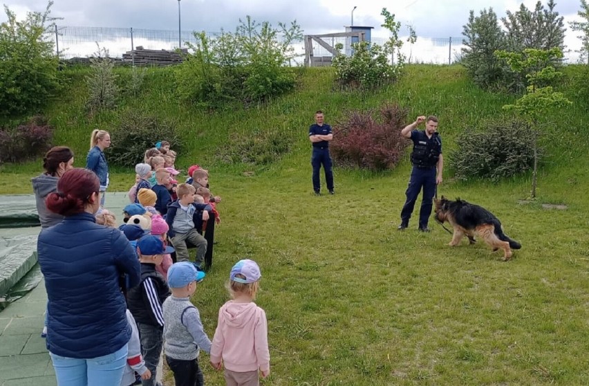 Tuchola. Policyjne psy zaprezentowały dzieciom swoje umiejętności [zdjęcia]