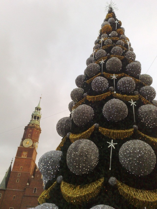 Wrocławska choinka obok ratusza.
foto: Jan Poniatowski