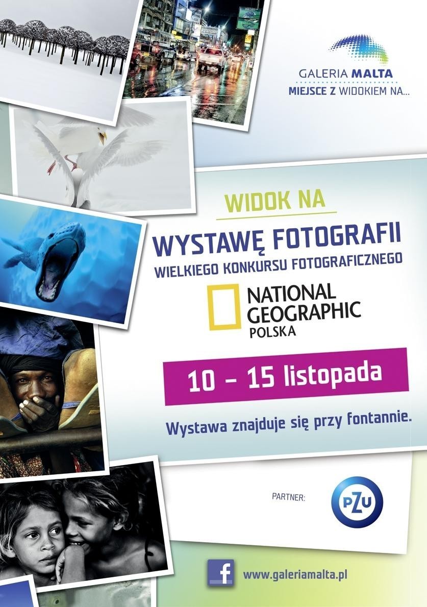 Poznań: Wystawa National Geographic i spotkanie z Martyną Wojciechowską w Galerii Malta