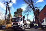 Awaria prądu w Rudzie Śląskiej! Stoją też pociągi... Wszystkiemu winne jest złamane drzewo?